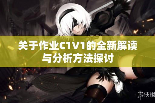 关于作业C1V1的全新解读与分析方法探讨