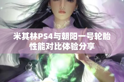 米其林PS4与朝阳一号轮胎性能对比体验分享