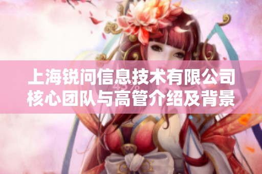 上海锐问信息技术有限公司核心团队与高管介绍及背景分析