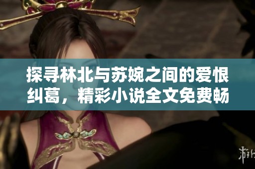 探寻林北与苏婉之间的爱恨纠葛，精彩小说全文免费畅读