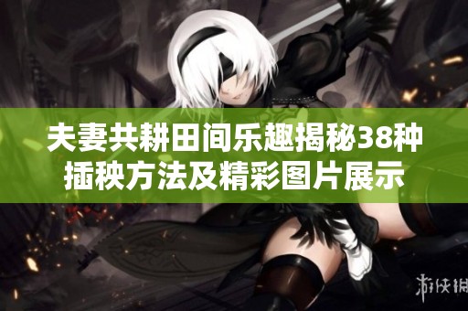 夫妻共耕田间乐趣揭秘38种插秧方法及精彩图片展示
