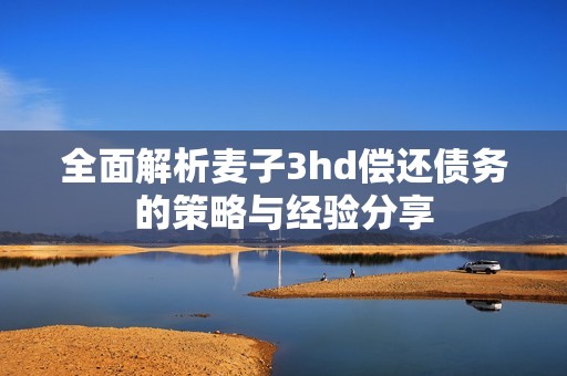 全面解析麦子3hd偿还债务的策略与经验分享