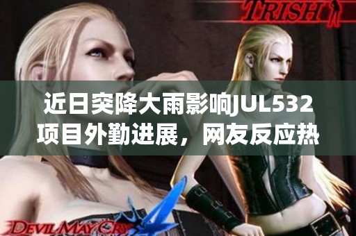 近日突降大雨影响JUL532项目外勤进展，网友反应热烈