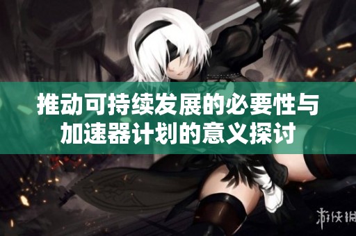 推动可持续发展的必要性与加速器计划的意义探讨