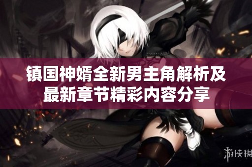 镇国神婿全新男主角解析及最新章节精彩内容分享