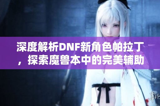 深度解析DNF新角色帕拉丁，探索魔兽本中的完美辅助神器