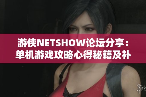游侠NETSHOW论坛分享：单机游戏攻略心得秘籍及补丁下载大全