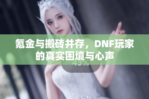 氪金与搬砖并存，DNF玩家的真实困境与心声