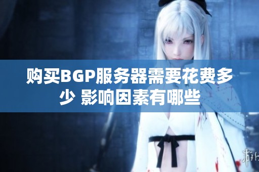 购买BGP服务器需要花费多少 影响因素有哪些