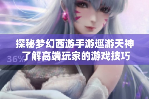 探秘梦幻西游手游巡游天神 了解高端玩家的游戏技巧与魅力