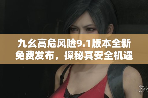 九幺高危风险9.1版本全新免费发布，探秘其安全机遇与挑战