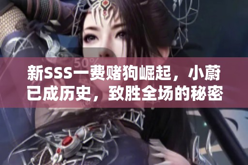 新SSS一费赌狗崛起，小蔚已成历史，致胜全场的秘密武器揭秘