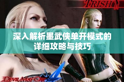 深入解析墨武侠单开模式的详细攻略与技巧