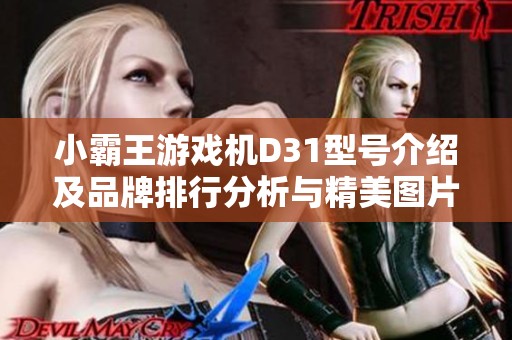 小霸王游戏机D31型号介绍及品牌排行分析与精美图片展示