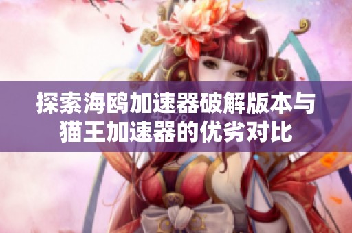 探索海鸥加速器破解版本与猫王加速器的优劣对比
