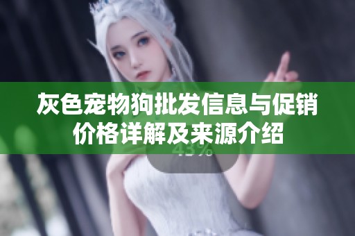 灰色宠物狗批发信息与促销价格详解及来源介绍