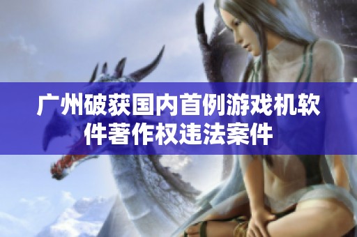 广州破获国内首例游戏机软件著作权违法案件