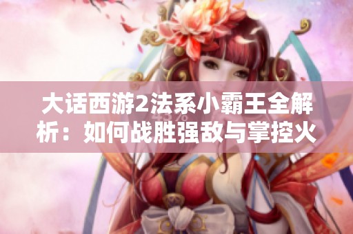 大话西游2法系小霸王全解析：如何战胜强敌与掌控火系技巧