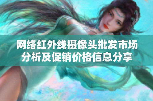 网络红外线摄像头批发市场分析及促销价格信息分享