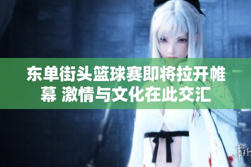 东单街头篮球赛即将拉开帷幕 激情与文化在此交汇