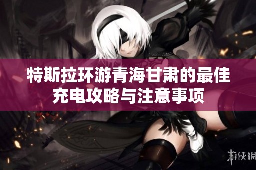 特斯拉环游青海甘肃的最佳充电攻略与注意事项