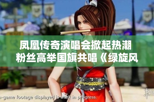 凤凰传奇演唱会掀起热潮 粉丝高举国旗共唱《绿旋风》