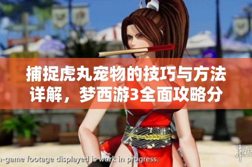 捕捉虎丸宠物的技巧与方法详解，梦西游3全面攻略分享