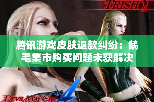 腾讯游戏皮肤退款纠纷：鹅毛集市购买问题未获解决