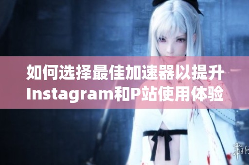 如何选择最佳加速器以提升Instagram和P站使用体验