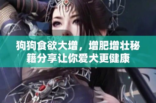 狗狗食欲大增，增肥增壮秘籍分享让你爱犬更健康