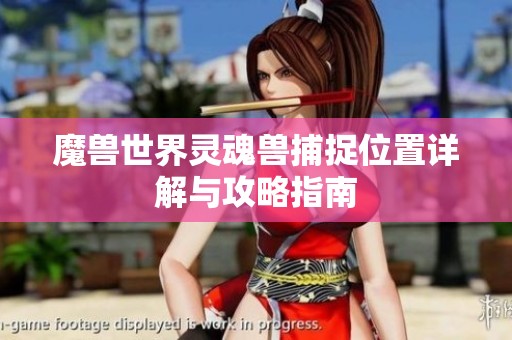 魔兽世界灵魂兽捕捉位置详解与攻略指南