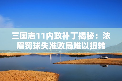 三国志11内政补丁揭秘：浓眉罚球失准败局难以扭转