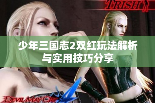 少年三国志2双红玩法解析与实用技巧分享