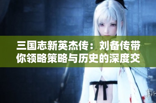 三国志新英杰传：刘备传带你领略策略与历史的深度交融