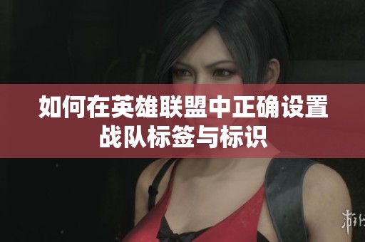 如何在英雄联盟中正确设置战队标签与标识