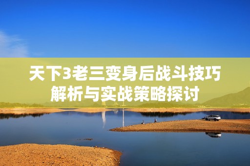 天下3老三变身后战斗技巧解析与实战策略探讨