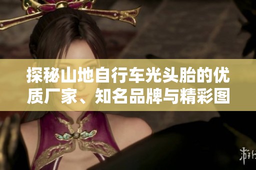 探秘山地自行车光头胎的优质厂家、知名品牌与精彩图片