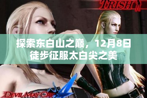 探索东白山之巅，12月8日徒步征服太白尖之美