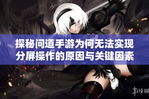 探秘问道手游为何无法实现分屏操作的原因与关键因素