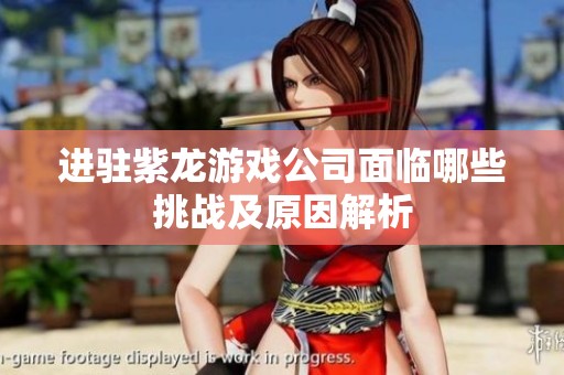 进驻紫龙游戏公司面临哪些挑战及原因解析