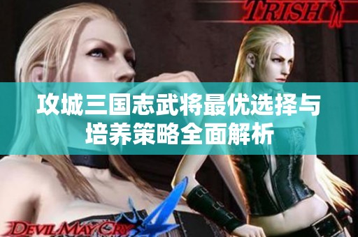 攻城三国志武将最优选择与培养策略全面解析