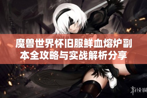 魔兽世界怀旧服鲜血熔炉副本全攻略与实战解析分享