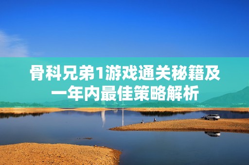 骨科兄弟1游戏通关秘籍及一年内最佳策略解析